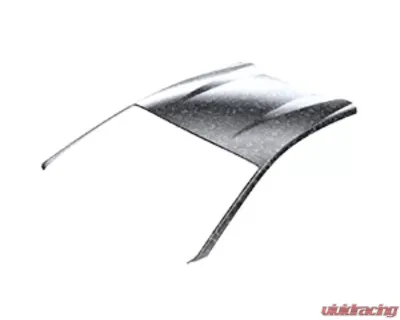 1016 Industries Forged Carbon Roof for Lamborghini Huracan Evo 2019-2021 - 1016.631.10