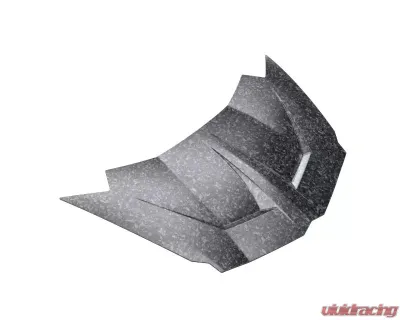 1016 Industries Forged Carbon Race Hood for Lamborghini Aventador LP750 SV 2015-2017 - 1016.751.06