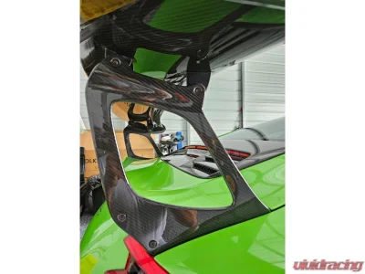 1016 Industries Carbon Fiber Wing Legs Porsche 991.2 GT3/GT3 RS 2017-2019 - 991.2.3RS.12