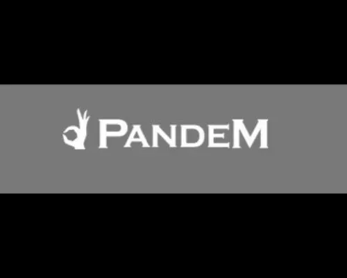 Pandem 6666 Wheel Cap Silver - 668CAPSL