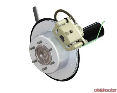 Pedders Rear Toyota Tacoma 2005+ - PED-PBCK006