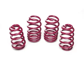 Vogtland Sport Lowering Spring Kit Audi A4 2002-2008