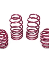 Vogtland Sport Lowering Spring Kit Audi TT 8N Quattro | Volkswagen Golf IV R32 2000-2007                                     - 950003 - Image 2