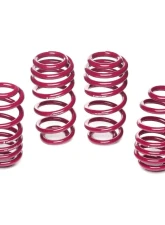 Vogtland Sport Lowering Spring Kit Audi A6 4F Quattro, 8 cyl Avant 2005-2010                                     - 950013 - Image 2