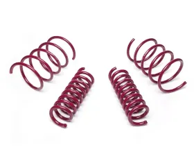Vogtland Sport Lowering Spring Kit Mercedes-Benz C230 2002-2007