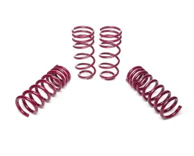 Vogtland Sport Lowering Spring Kit Ford Mustang SN-95 V8 Incl Cobra Excl Convertible 1994-2004
