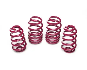 Vogtland High-Tensile Lowering Springs Audi A4 8E Avant 3.0 | 1.9 TDI 2001-2008