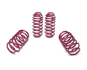 Vogtland High-Tensile Lowering Springs Audi S3 | Skoda Octavia | Volkswagen Golf | Jetta 2003+