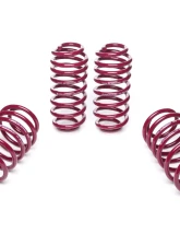 Vogtland High-Tensile Lowering Springs Audi S3 | Skoda Octavia | Volkswagen Golf | Jetta 2003+                                     - 950018 - Image 2