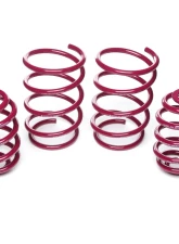 Vogtland High-Tensile Lowering Springs BMW 3 E36 316i | 318i | 318iS | 318TDS| Sedan | Coupe | Convertible 3B/C 4 cyl. 1990-1998                                     - 951055 - Image 2