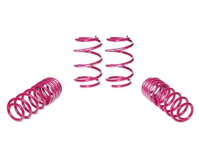 Vogtland High-Tensile Lowering Springs Seat Ibiza | Volkswagen Polo Incl. Adaptive Damping, Only Twist-Beam Rear Axle 2017+