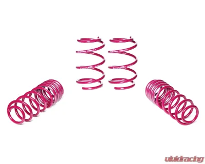 Vogtland High-Tensile Lowering Springs Seat Ibiza | Volkswagen Polo Incl. Adaptive Damping, Only Twist-Beam Rear Axle 2017+ - 951308