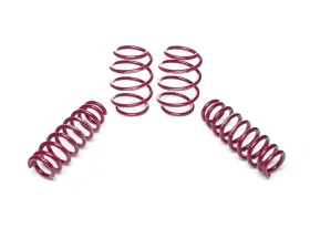 Vogtland High-Tensile Lowering Springs BMW 3 F30 EDE | Sedan 3L 2WD, Max Axle Load Front 970kg 2012+