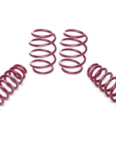 Vogtland High-Tensile Lowering Springs BMW 3 G20 316d | 318d | 318i | 320d | 320i | 330i Sedan G3L 2WD 2019+                                     - 951688 - Image 2