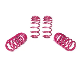 Vogtland High-Tensile Lowering Springs Audi RS5 Sportback Quattro B9 B8 B81 2019+