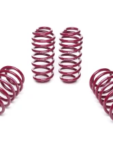 Vogtland High-Tensile Lowering Springs Combined w/ High-Performance Shock Absorbers, VA more than 1010 kg Skoda Octavia Sedan 5E | Only Multi-Link Rear Axle | Strut 50mm 2013+                                     - 960627 - Image 2