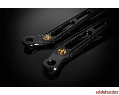 ARMASpeed Forged Carbon Fiber Strut Bars w/ 3K Radiator Cooling Plate BMW G20 | G21 2019-2021 - 1CCBM52F24-C