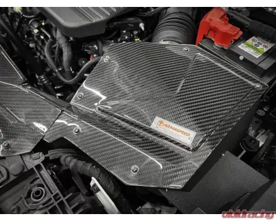 ARMASpeed Carbon Fiber Cold Air Intake Ford Kuga Mk3 EcoBoost  2.0L - ARMAFDKU25-A
