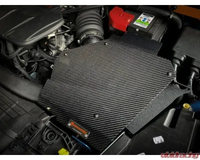 ARMASpeed Carbon Fiber Cold Air Intake Ford Focus ST MK4.5 2.3L EcoBoost 2020+ - ARMAFDMK43CA