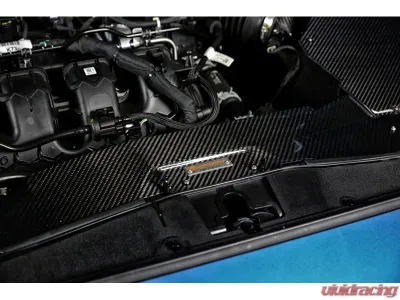 ARMASpeed Carbon Fiber Cold Air Intake Ford Focus ST MK4.5 2.3L EcoBoost 2020+ - ARMAFDMK43CA