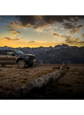 FOX Racing Shocks Factory Race Series 3 LIVE VALVE Internal Bypass Piggyback (Pair) Adjustable|Rear F-150 | Ford F-150 2019-2020                                     - 883-09-153 - Image 10