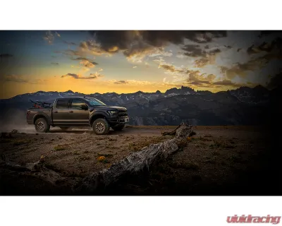 FOX Racing Shocks Factory Race Series 3 LIVE VALVE Internal Bypass Piggyback (Pair) Adjustable|Rear F-150 | Ford F-150 2019-2020 - 883-09-153