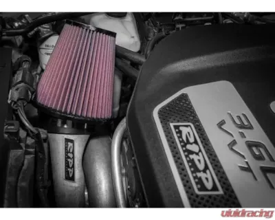 Ripp Superchargers Replacement Air Filter Jeep Wrangler JK 2007-2018 - SDS-JK