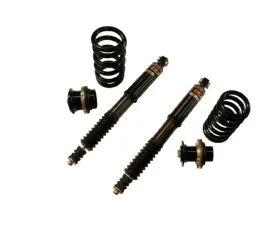 D2 Racing RS Coilovers Mercedes-BenzSLK230| SLK32 AMG | SLK320 1998-2004
