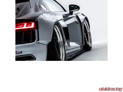 Alpil CFRP Over Fender Set (Duct) Audi R8-RSR 2015 - APL-OF-CF-R8