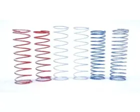 STM Powersports Power Valve Spring Kit