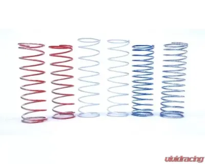 STM Powersports Power Valve Spring Kit - 78 SPNG