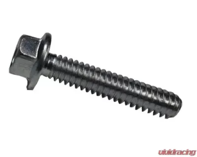 STM Powersports Primary Cover Bolt - 1/4-20X1 1/4 HHFS