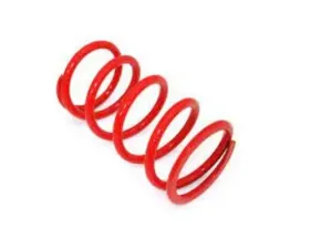 STM Powersports 118/139/225 Red Black ATV Primary Spring