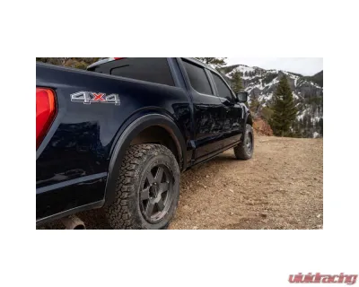Bushwacker FENDER FLARES OE STYLE 4PC Ford Front and Rear - 20941-02