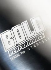 Remark Bold Performance Catback Exhaust System Toyota FJ Cruiser V6 4.0L 2007-2022                                     - RBD-C1063T-04A - Image 3