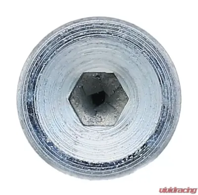 Elring Engine Oil Drain Plug 523.450 - 523.450