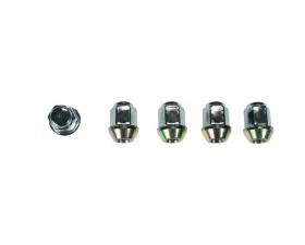 Wagner Brake Wheel Lug Nut
