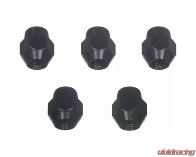 Wagner Brake Wheel Lug Nut - BD125950