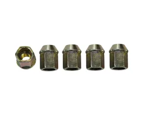 Wagner Brake Wheel Lug Nut Ford Focus Front 2000-2008