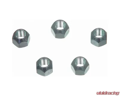 Wagner Brake Wheel Lug Nut - BD61281