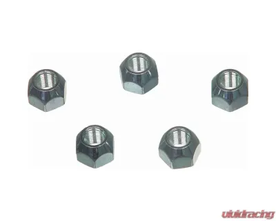 Wagner Brake Wheel Lug Nut - BD61285