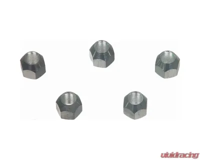 Wagner Brake Wheel Lug Nut - BD61287