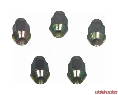 Wagner Brake Wheel Lug Nut - BD61300