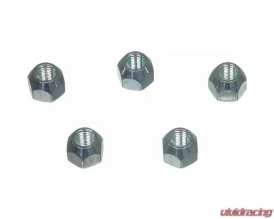 Wagner Brake Wheel Lug Nut - BD61301