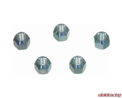 Wagner Brake Wheel Lug Nut - BD61356