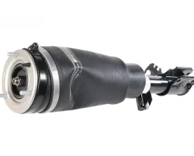 BWI Shock Absorber RNB000750