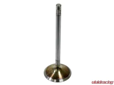 TRW Automotive Intake Valve 55-563-529 - 55-563-529