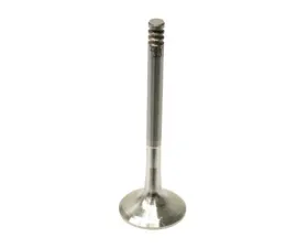 TRW Automotive Exhaust Valve 028-109-611 G