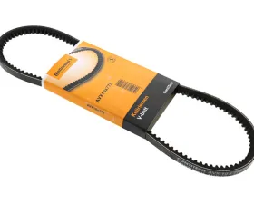 Continental Belt 999-192-338-50
