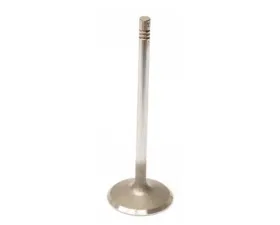 TRW Automotive Intake Valve 272-053-08-01